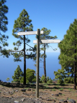 image/los canarios_fuencaliente.jpg